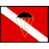DIVE AND JUMP PIN